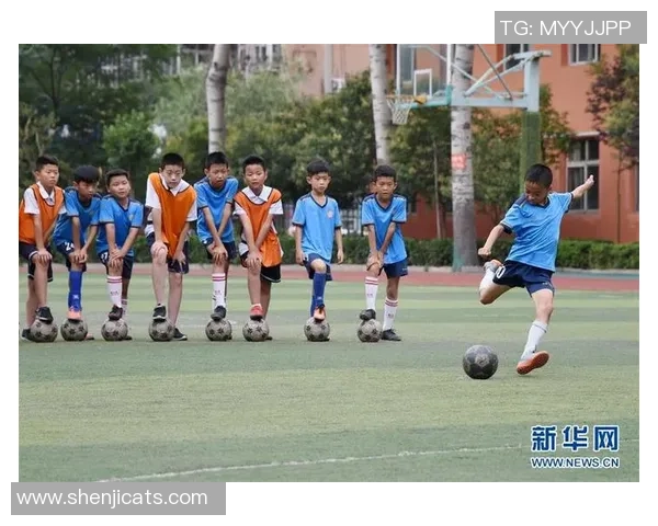 《追逐绿茵梦想的少年们从足球星梦开始逐步成长与奋斗》 《追逐绿茵梦想的少年们从足球星梦开始逐步成长与奋斗》