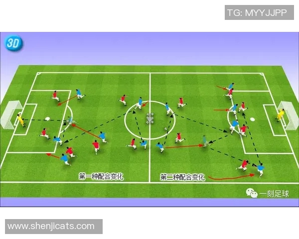 深度解读以C单球星为核心的足球发展历程与未来影响力分析 深度解读以C单球星为核心的足球发展历程与未来影响力分析