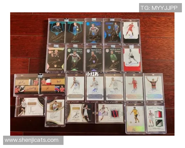 帕尼尼足球球星卡各大系列收藏价值解析与推荐 帕尼尼足球球星卡各大系列收藏价值解析与推荐