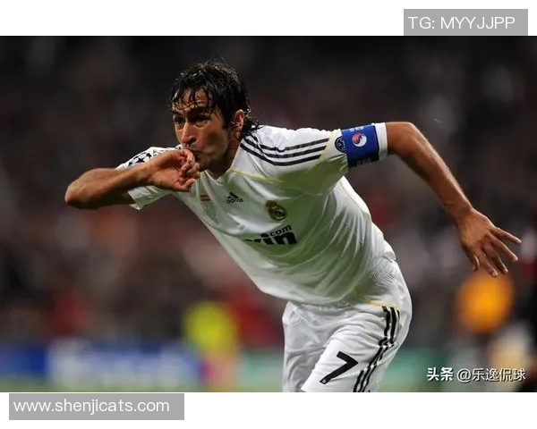 瑞典传奇足球退役球星的荣耀历程与绿茵岁月回顾