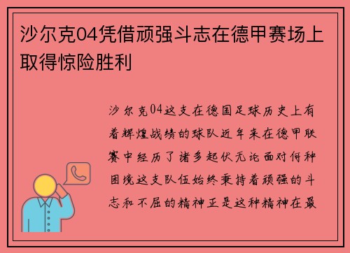 沙尔克04凭借顽强斗志在德甲赛场上取得惊险胜利